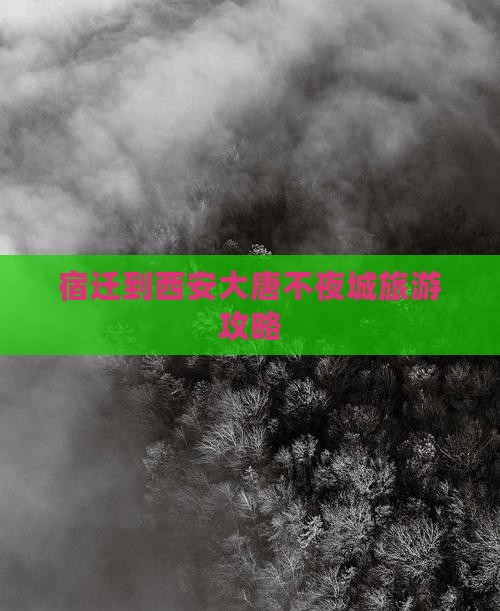 宿迁去西安大唐不夜城团体旅游
