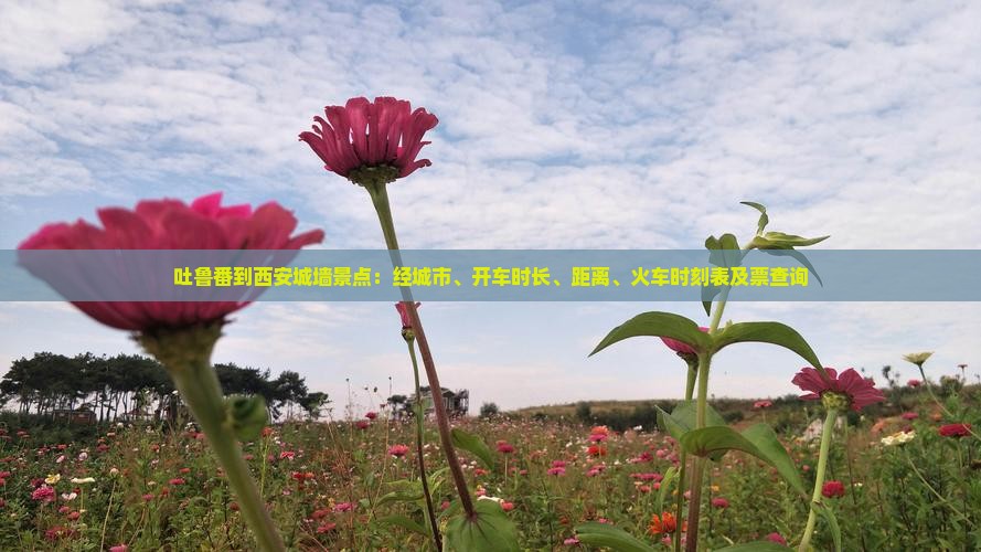 吐鲁番到西安城墙景点