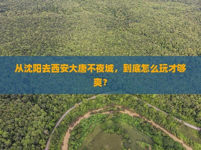 沈阳到西安大唐不夜城哪里玩