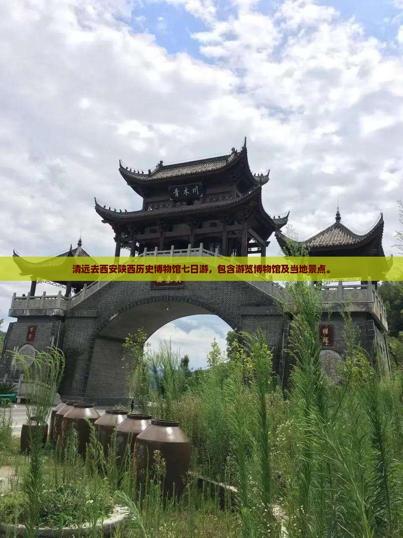 清远去西安陕西历史博物馆七日游