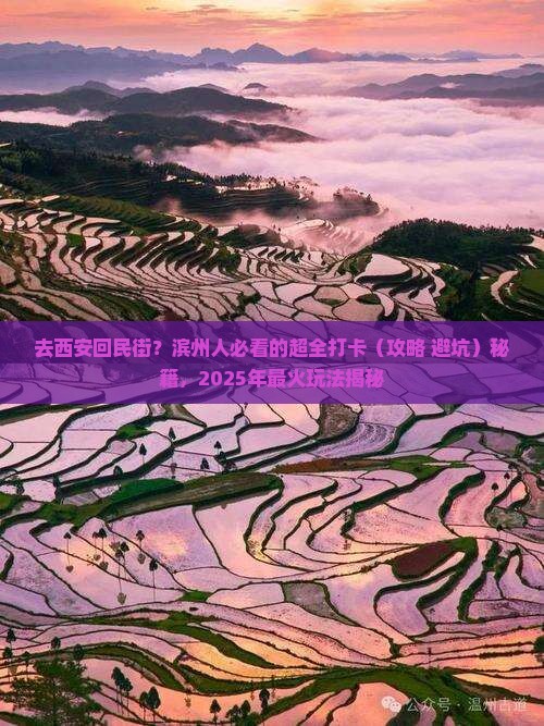 滨州去西安回民街景点
