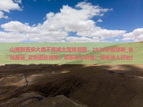 山南到西安大唐不夜城大型旅游团