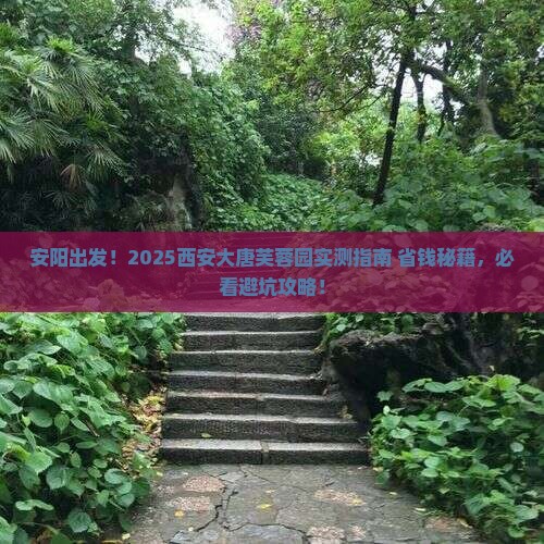 安阳去西安大唐芙蓉园景点