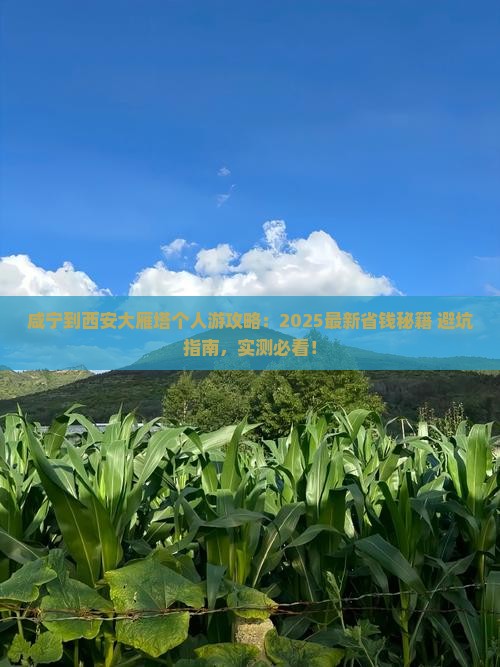 咸宁到西安大雁塔个人游