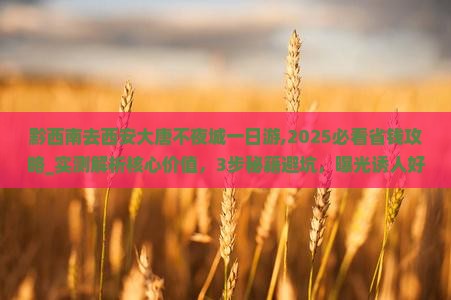 黔西南去西安大唐不夜城一日游