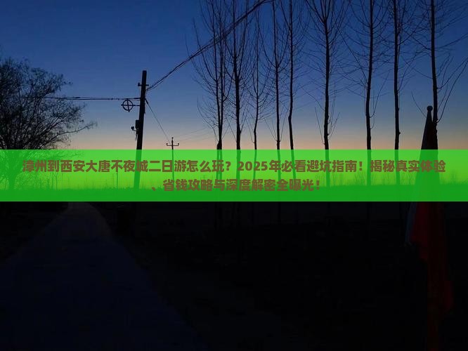 漳州到西安大唐不夜城二日游
