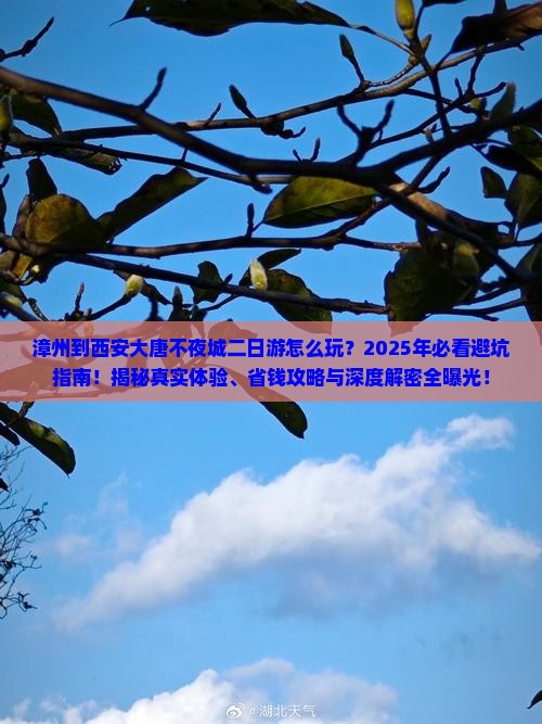 漳州到西安大唐不夜城二日游