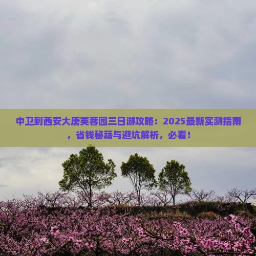 中卫到西安大唐芙蓉园三日游