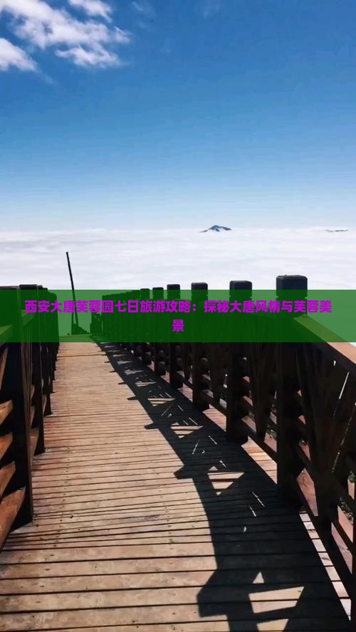 张家口到西安大唐芙蓉园七日游