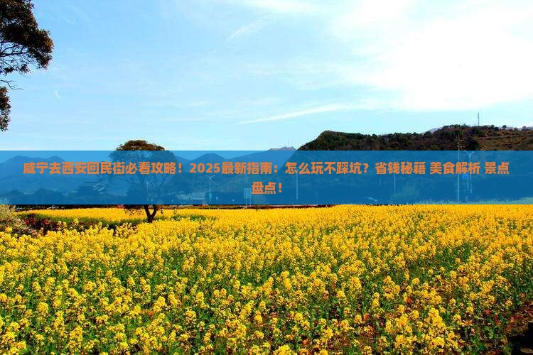 咸宁去西安回民街哪里玩