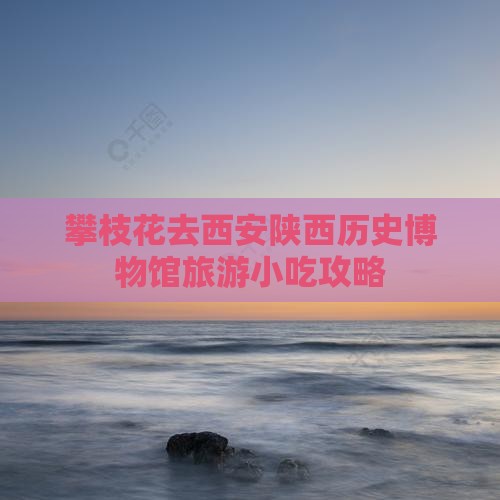 攀枝花去西安陕西历史博物馆旅游小吃