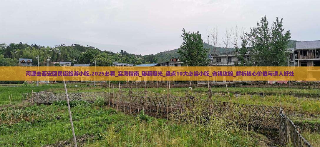 河源去西安回民街旅游小吃