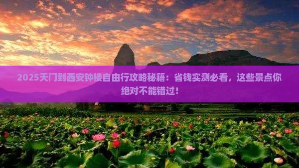 天门到西安钟楼自由团