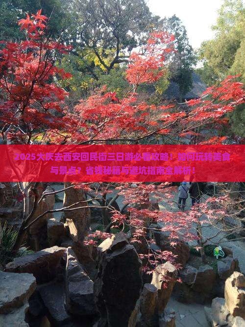 大庆去西安回民街三日游