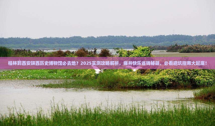 桂林到西安陕西历史博物馆必去地