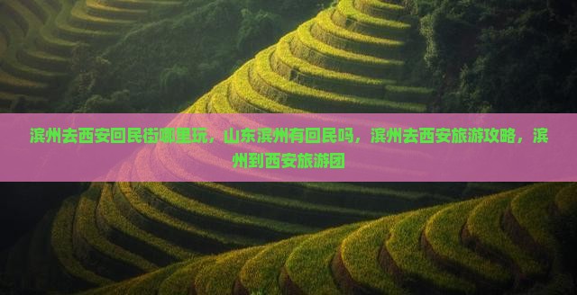 滨州去西安回民街哪里玩