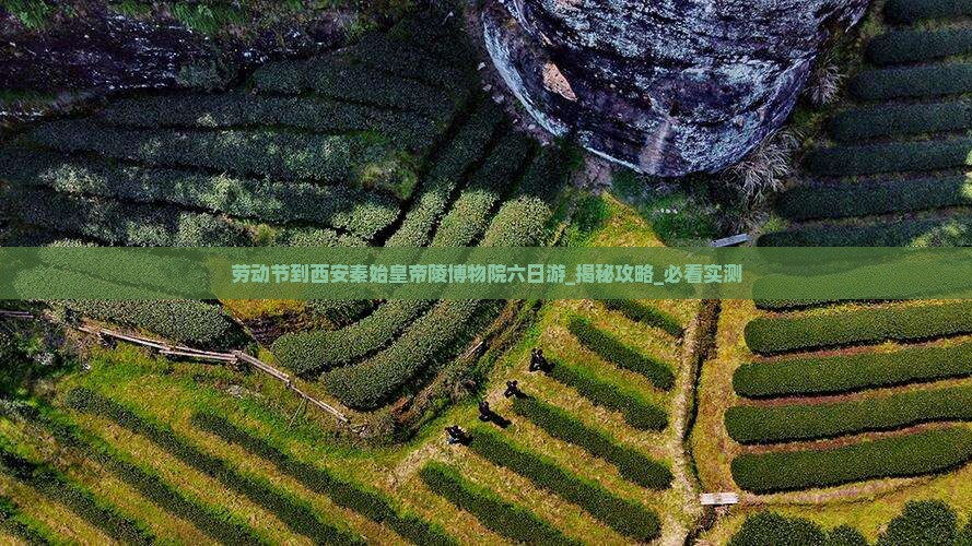 劳动节到西安秦始皇帝陵博物院六日游