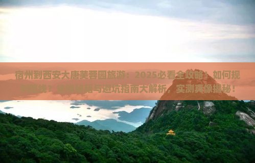 宿州到西安大唐芙蓉园旅游