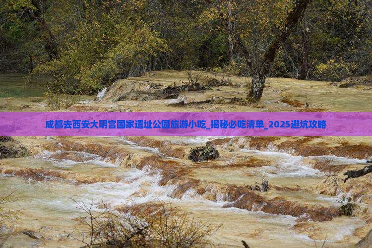 成都去西安大明宫国家遗址公园旅游小吃