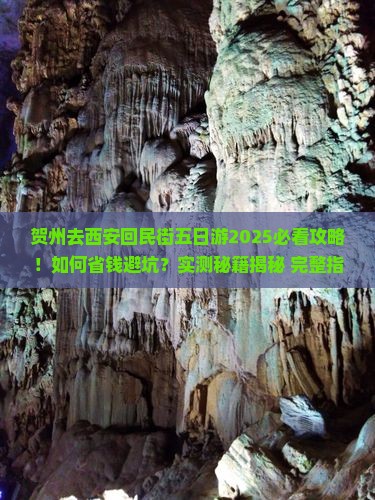 贺州去西安回民街五日游