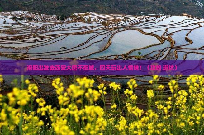 洛阳到西安大唐不夜城四日游