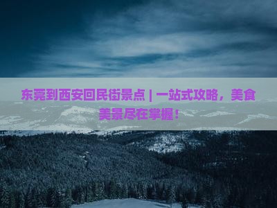 东莞到西安回民街景点