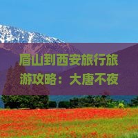 眉山到西安大唐不夜城必去地