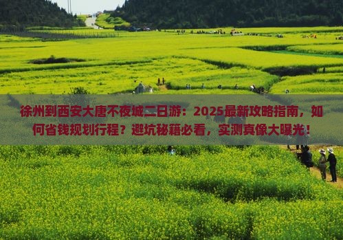 徐州到西安大唐不夜城二日游