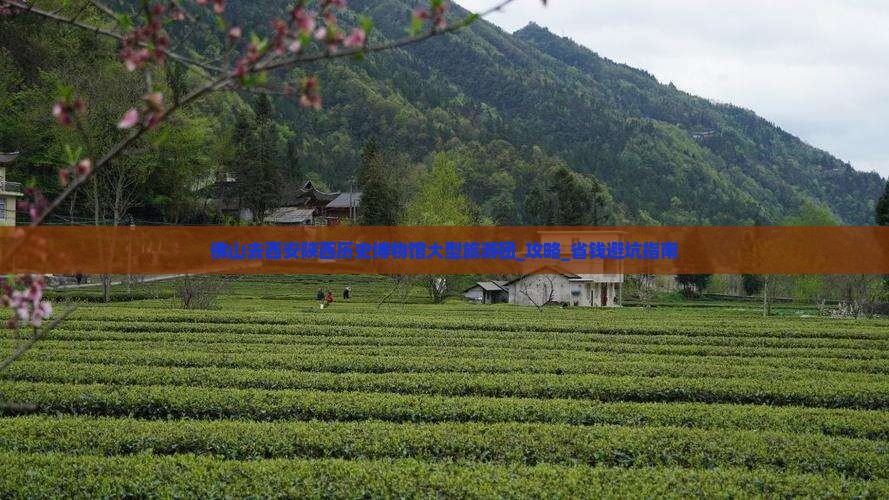 佛山去西安陕西历史博物馆大型旅游团