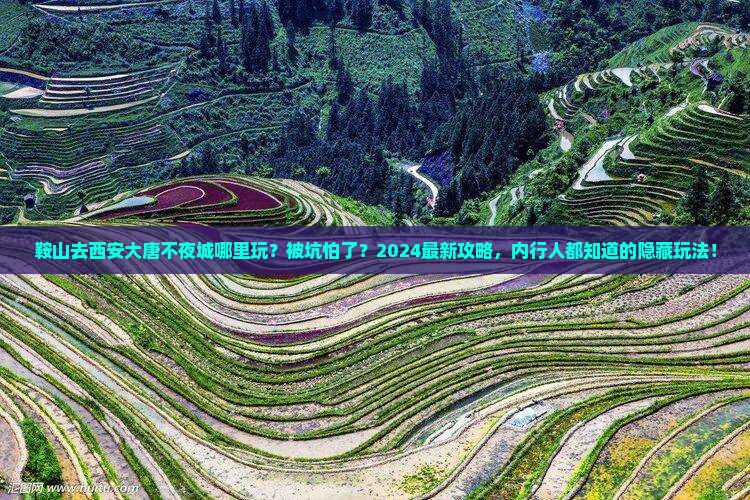 鞍山去西安大唐不夜城哪里玩