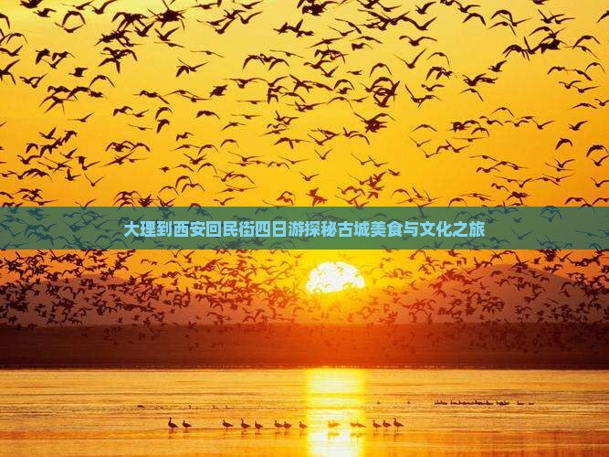 大理到西安回民街四日游