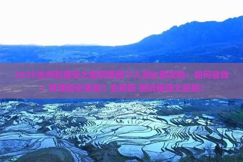池州到西安大唐芙蓉园个人游