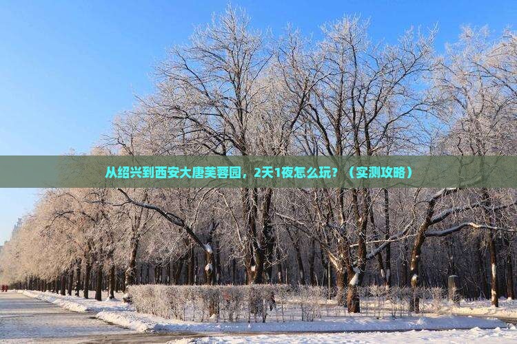 绍兴去西安大唐芙蓉园个人游