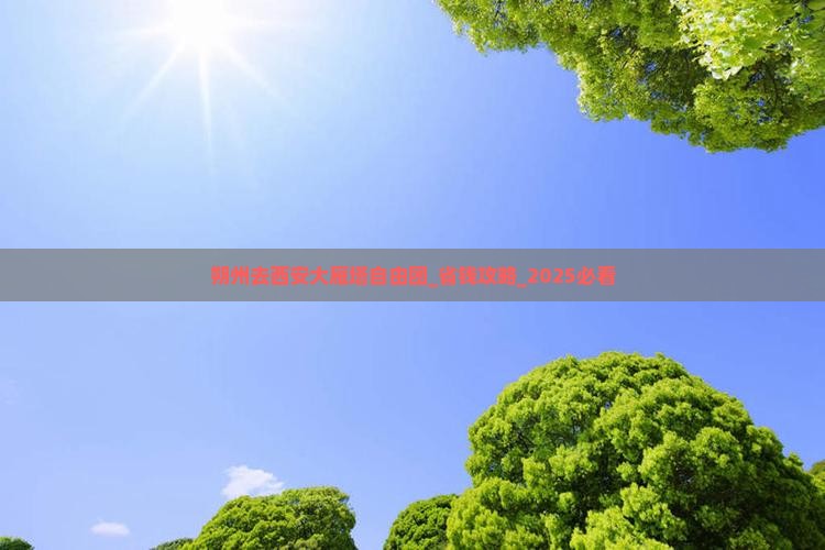 朔州去西安大雁塔自由团