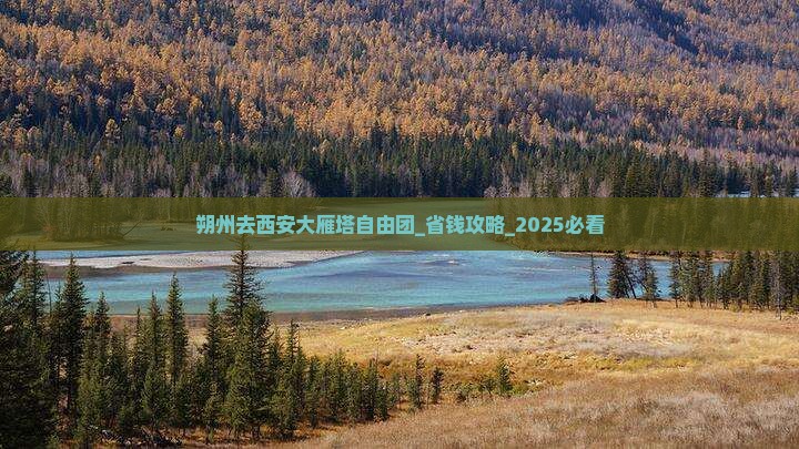 朔州去西安大雁塔自由团