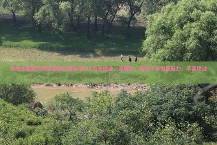 孝感去西安大明宫国家遗址公园旅行社