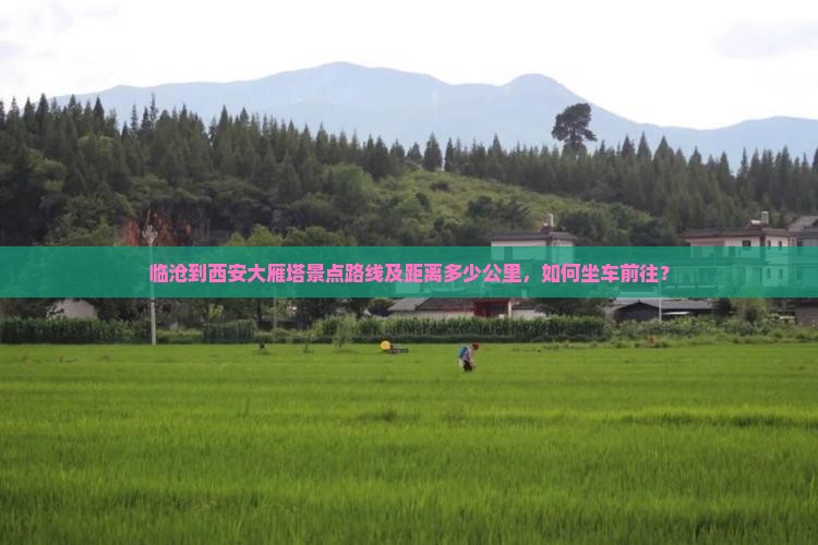 临沧到西安大雁塔景点