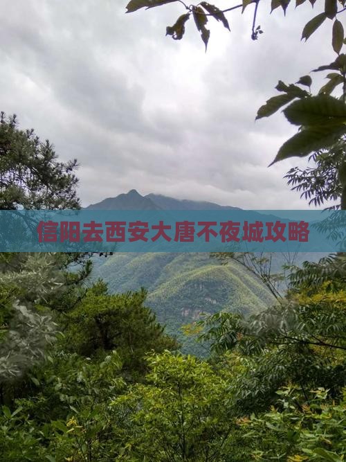 信阳去西安大唐不夜城门票