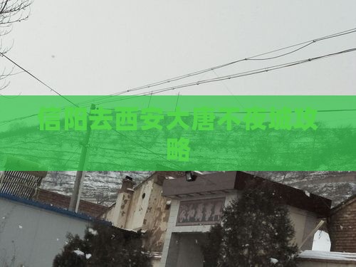 信阳去西安大唐不夜城门票