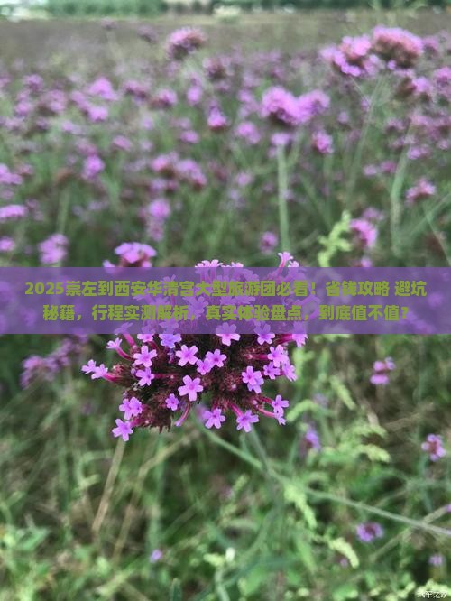 崇左到西安华清宫大型旅游团