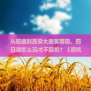昭通到西安大唐芙蓉园四日游
