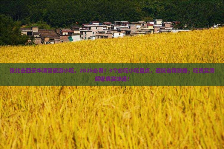 张北去西安华清宫旅游小吃