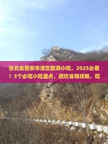 张北去西安华清宫旅游小吃