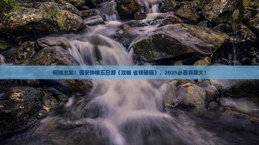 桐城去西安钟楼五日游