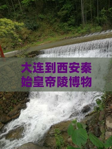 大连到西安秦始皇帝陵博物院个人游