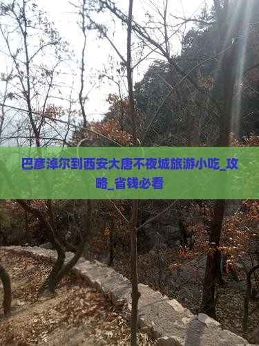 巴彦淖尔到西安大唐不夜城旅游小吃