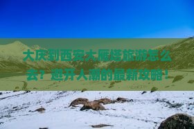 大庆到西安大雁塔旅游
