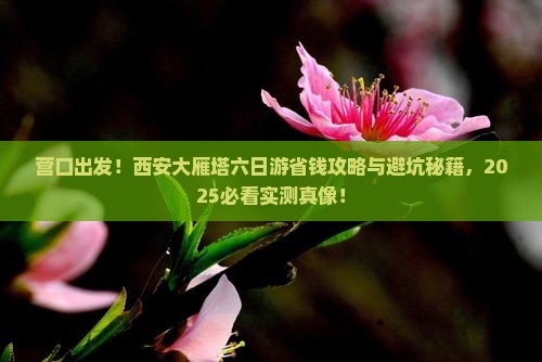 营口到西安大雁塔六日游