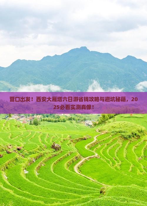 营口到西安大雁塔六日游
