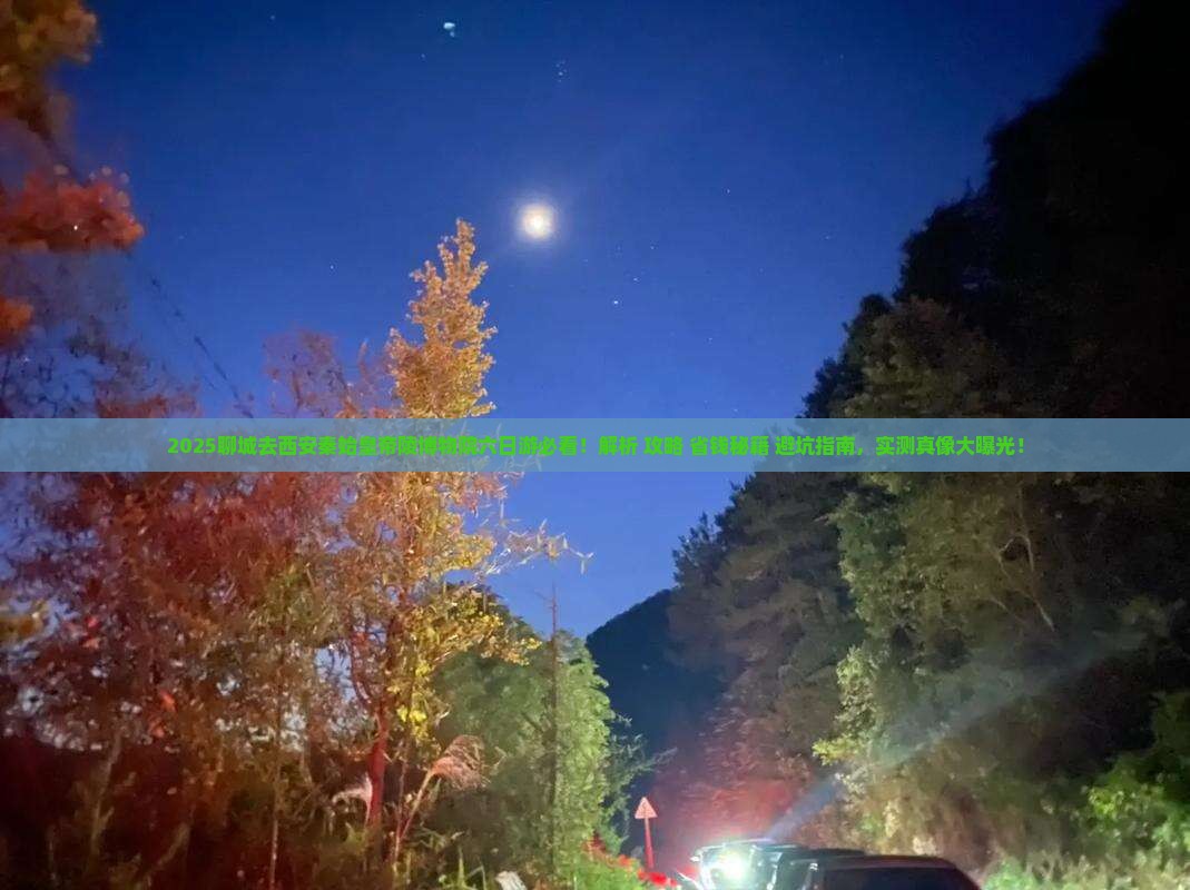 聊城去西安秦始皇帝陵博物院六日游